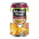 mmtropicalboite